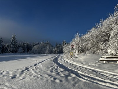 Holiday house Ferienhaus Kent - Environment photo 32