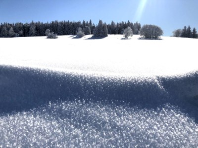 Holiday house Ferienhaus Kent - Environment photo 33