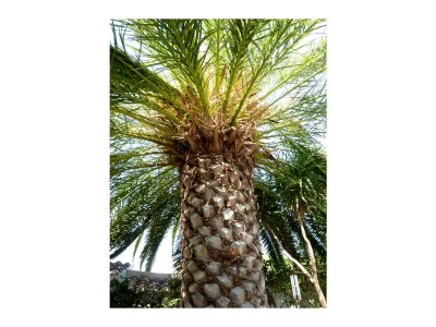 Holiday house Haus Quintal - Outdoor photo 3