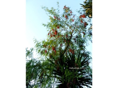 Holiday house Haus Quintal - Outdoor photo 5