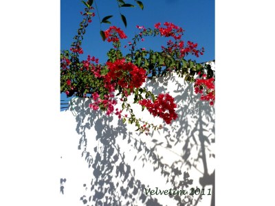 Holiday house Haus Quintal - Outdoor photo 6