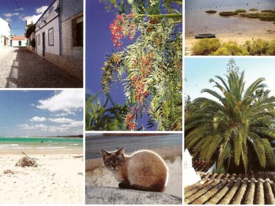 Holiday house Haus Quintal - Environment photo 11