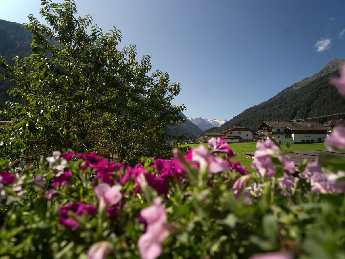 Holiday apartment Ferienhaus Wilfried - Outdoor photo 5