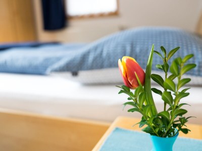 Holiday apartment Ferienhaus Wilfried - Features photo 11