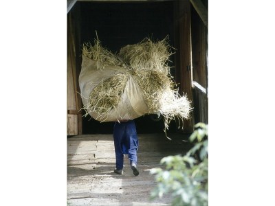 Apartment "Puez" im Ciasa Medalghes - Environment photo 13