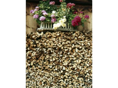 Apartment "Puez" im Ciasa Medalghes - Environment photo 19