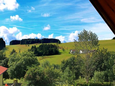 Apartment Alpiner Aufenthalt in Herrischried - Outdoor photo 7