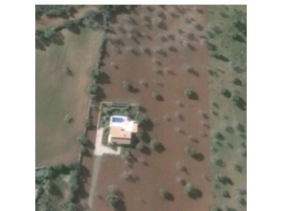 Finca Petit Paraiso - Environment photo 40