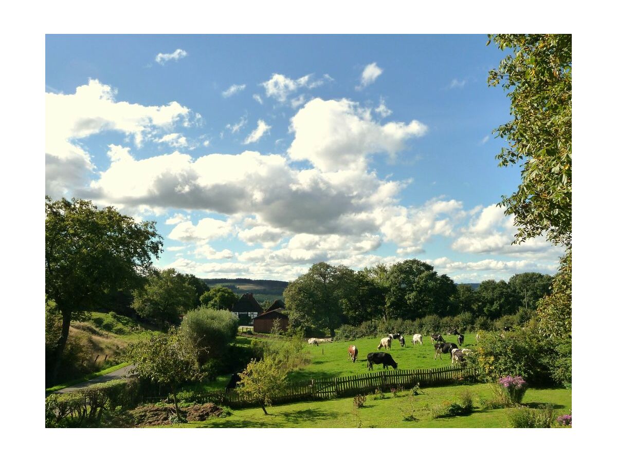 Holiday house Westphalian Farmhouse - Outdoor photo 2