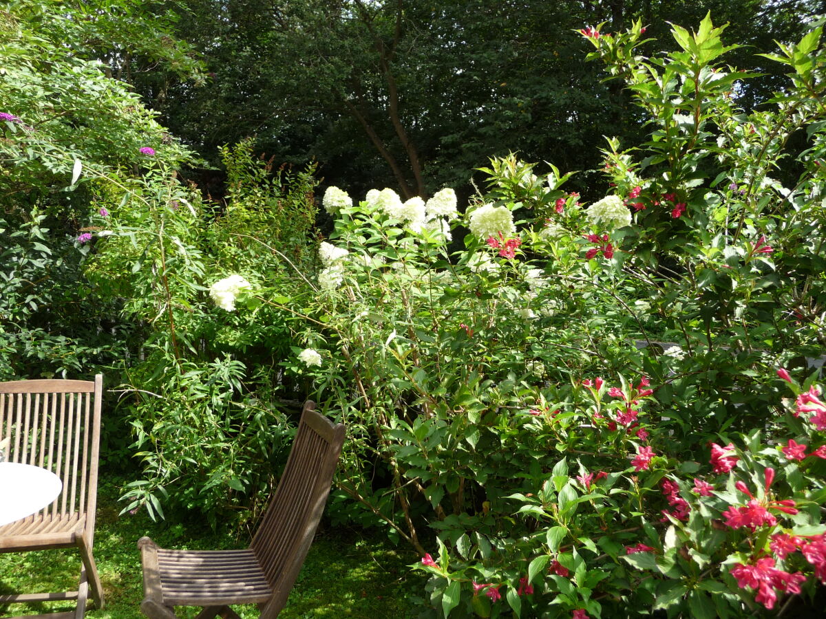 Holiday house Westphalian Farmhouse - Outdoor photo 4