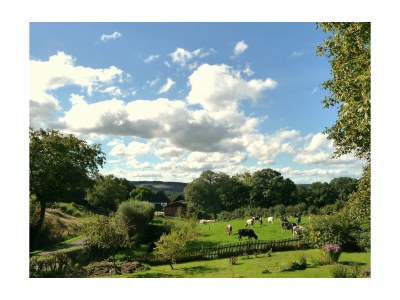 Holiday house Westphalian Farmhouse - Outdoor photo 2