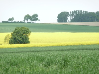 Holiday house Westphalian Farmhouse - Outdoor photo 6