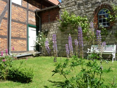 Holiday house Westphalian Farmhouse - Outdoor photo 7