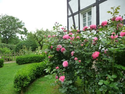 Holiday house Westphalian Farmhouse - Outdoor photo 8