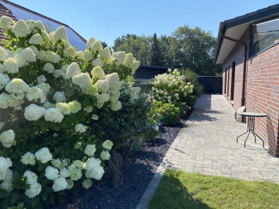 Holiday house Wide angle view - Outdoor photo 11