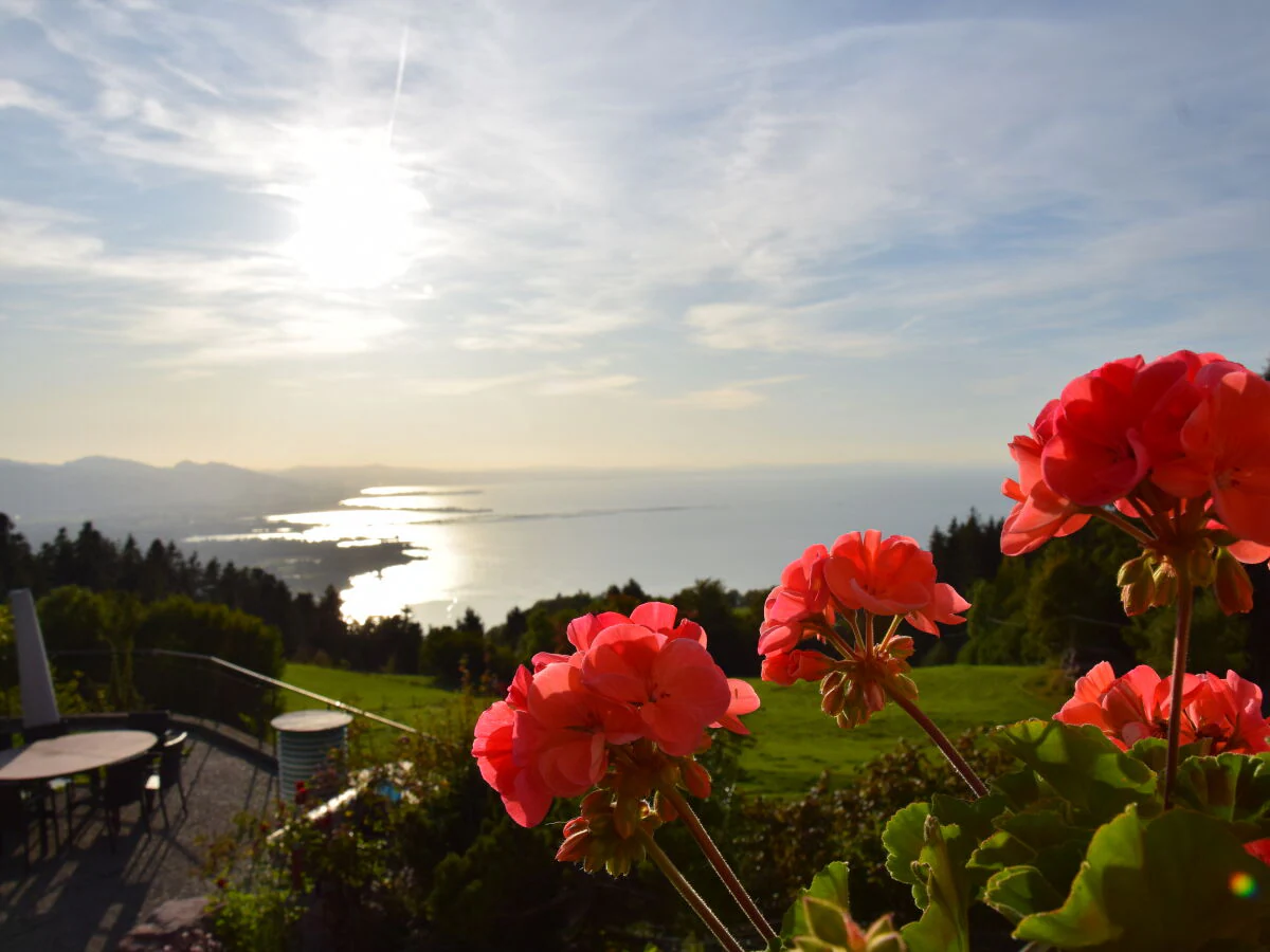 Holiday apartment Am Pfänder