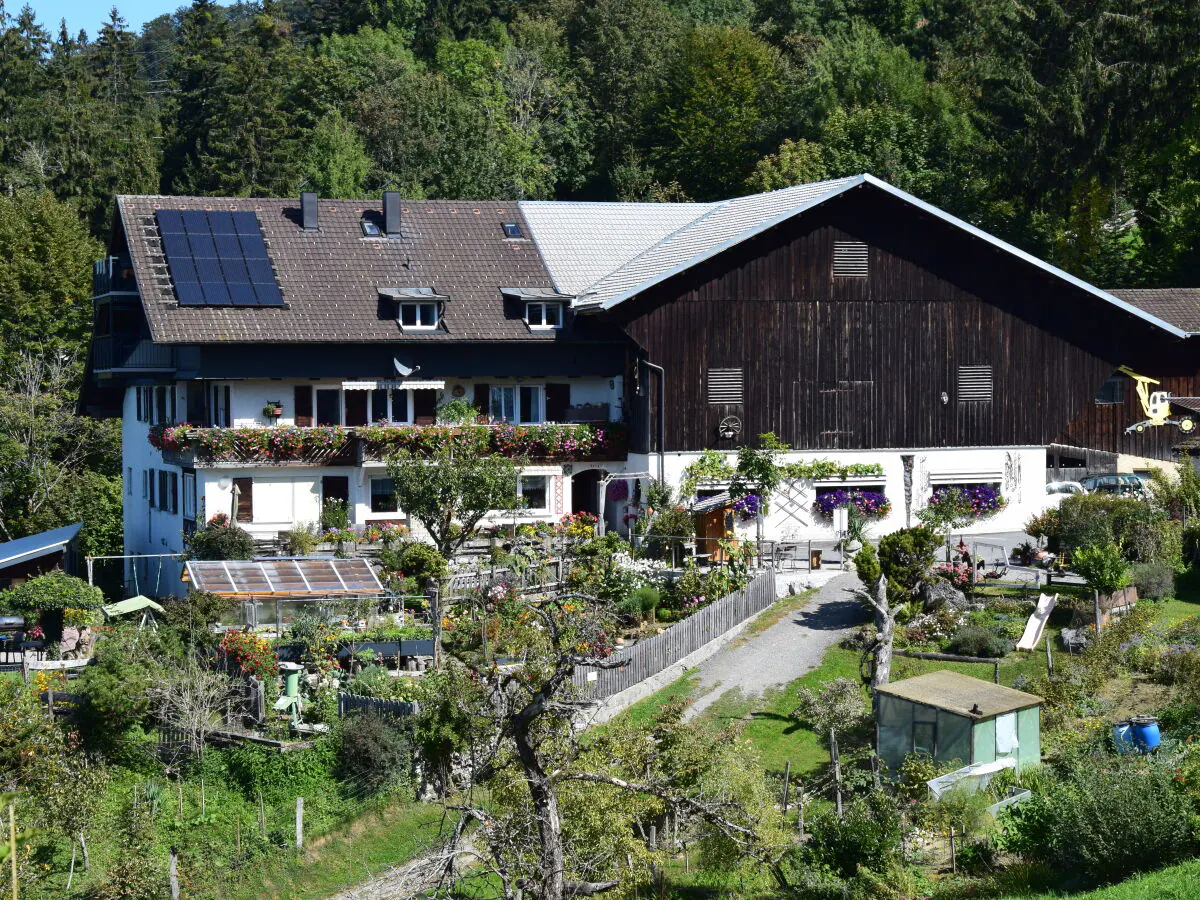 Holiday apartment Am Pfänder - Outdoor photo 2