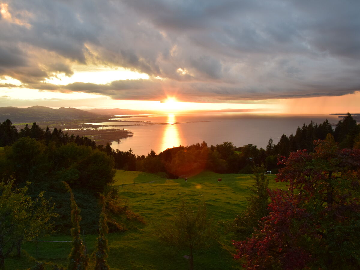 Holiday apartment Am Pfänder - Outdoor photo 5