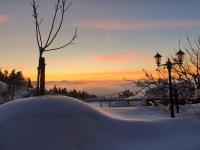 Holiday apartment Am Pfänder - Outdoor photo 8