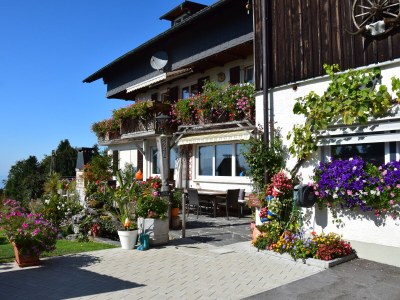 Holiday apartment Am Pfänder - Environment photo 16