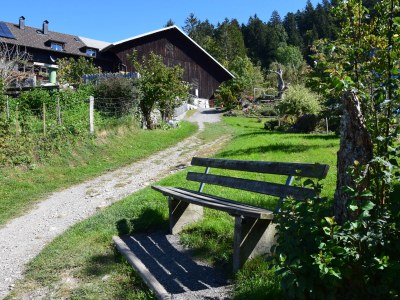 Holiday apartment Am Pfänder - Environment photo 17