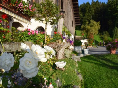 Holiday apartment Am Pfänder - Environment photo 19