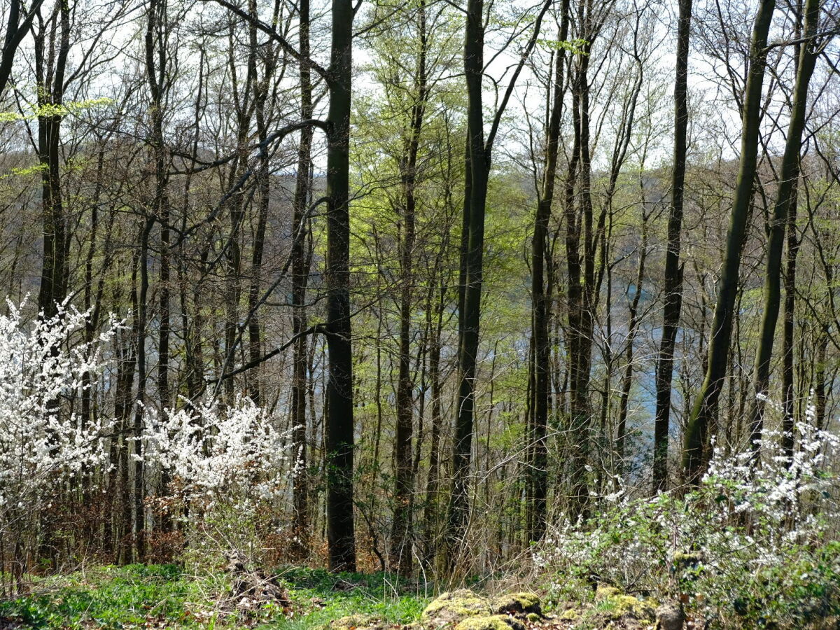 Holiday house Pulvermaar - Outdoor photo 5