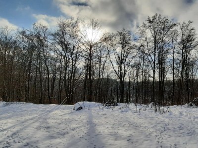 Holiday house Pulvermaar - Outdoor photo 8