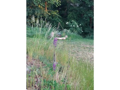 Holiday house Pulvermaar - Outdoor photo 9