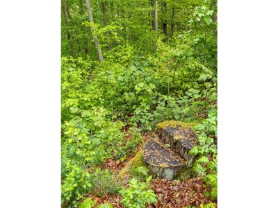 Holiday house Pulvermaar - Environment photo 23