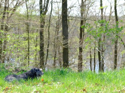 Holiday house Pulvermaar - Environment photo 24