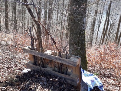 Holiday house Pulvermaar - Environment photo 26