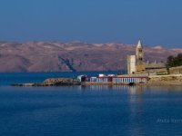 Katarina Starčević