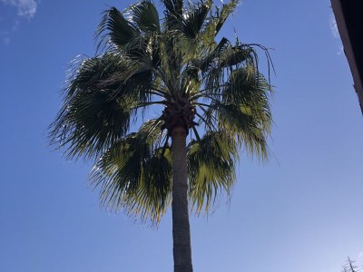 Villa Casa Fantastica - Outdoor photo 28