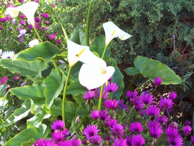 Villa Casa Fantastica - Outdoor photo 29