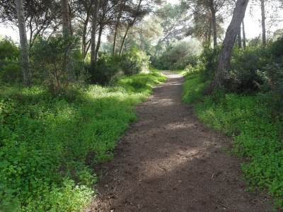 Villa Casa Fantastica - Environment photo 31