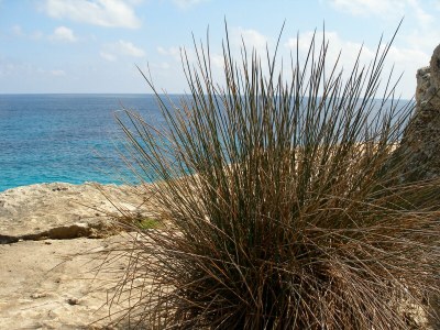 Villa Casa Fantastica - Environment photo 38