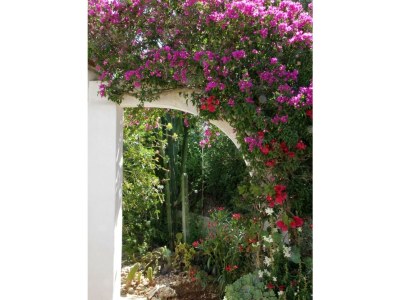 Villa Casa Fantastica - Environment photo 39