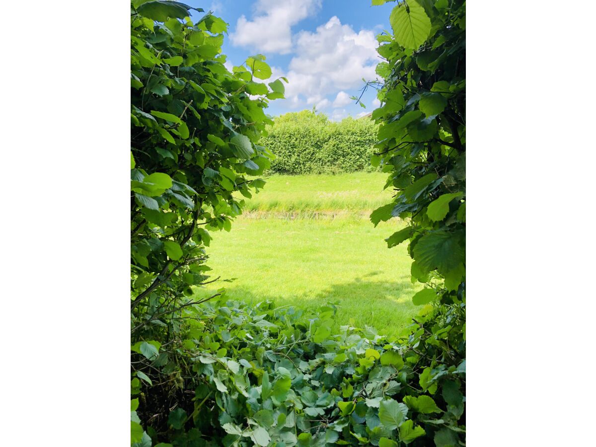 Holiday house Casa Bella Mare - Outdoor photo 5