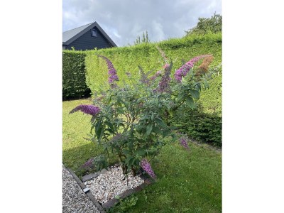 Holiday house Casa Bella Mare - Outdoor photo 17