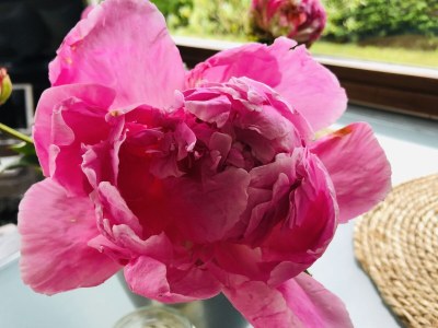 Holiday house Casa Bella Mare - Features photo 31