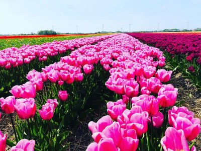 Holiday house Casa Bella Mare - Environment photo 33