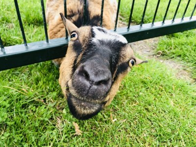 Holiday house Casa Bella Mare - Environment photo 35