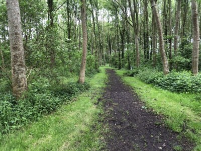 Holiday house Casa Bella Mare - Environment photo 40