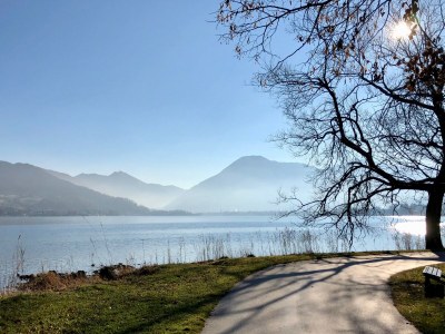 Holiday apartment Leo on the lake - Environment photo 25
