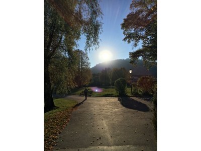 Holiday apartment Leo on the lake - Environment photo 26