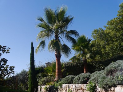 Holiday house La SauvagÃ¨re - Outdoor photo 13