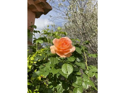 Holiday house La SauvagÃ¨re - Outdoor photo 16