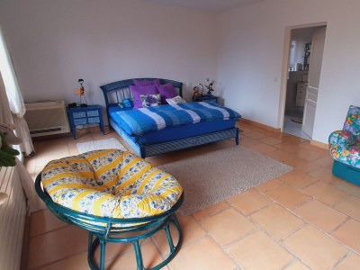 Holiday house La SauvagÃ¨re - Features photo 24