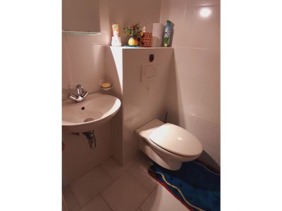 Holiday house La SauvagÃ¨re - Features photo 26